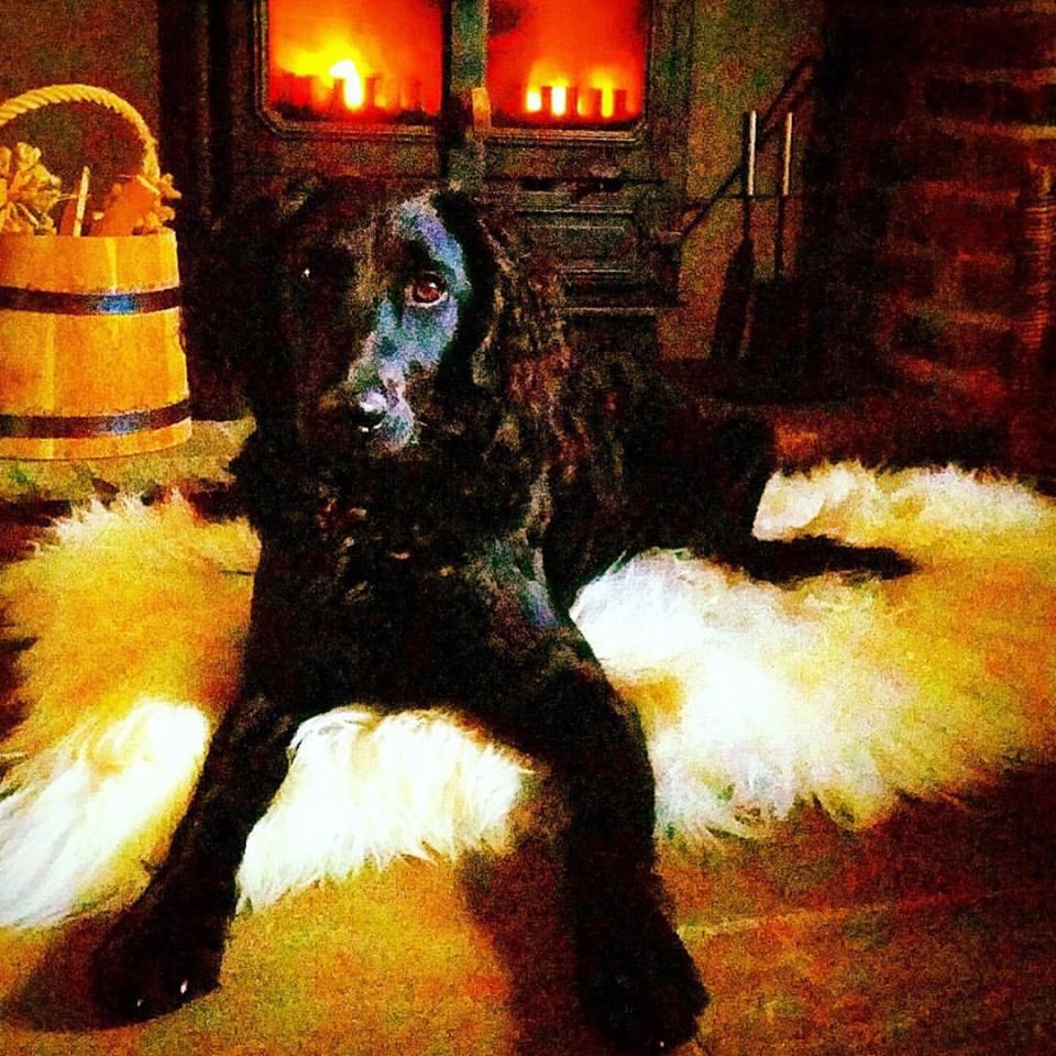 Natural English Sheepskin Rug - Image 6
