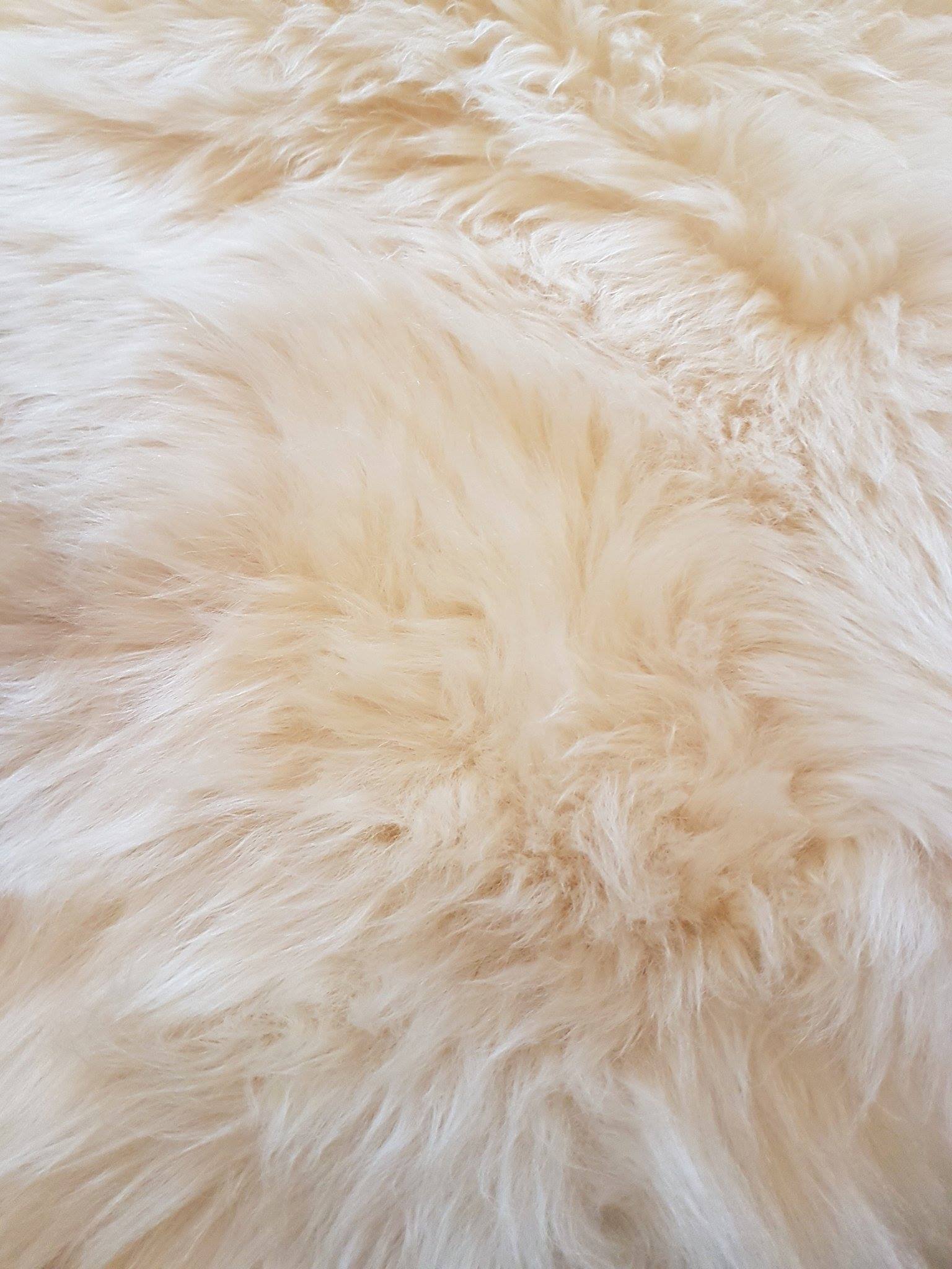 Just Our Stall Natural English Sheepskin Rug