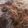 Rare Breed English Sheepskin Rug - Image 10