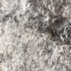 Gotland Sheepskin - Image 3