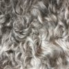 Gotland Sheepskin - Image 7