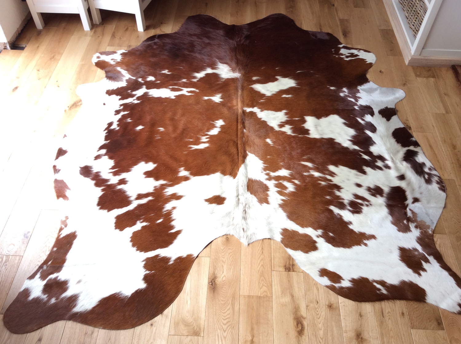 Just Our Stall Cowhide