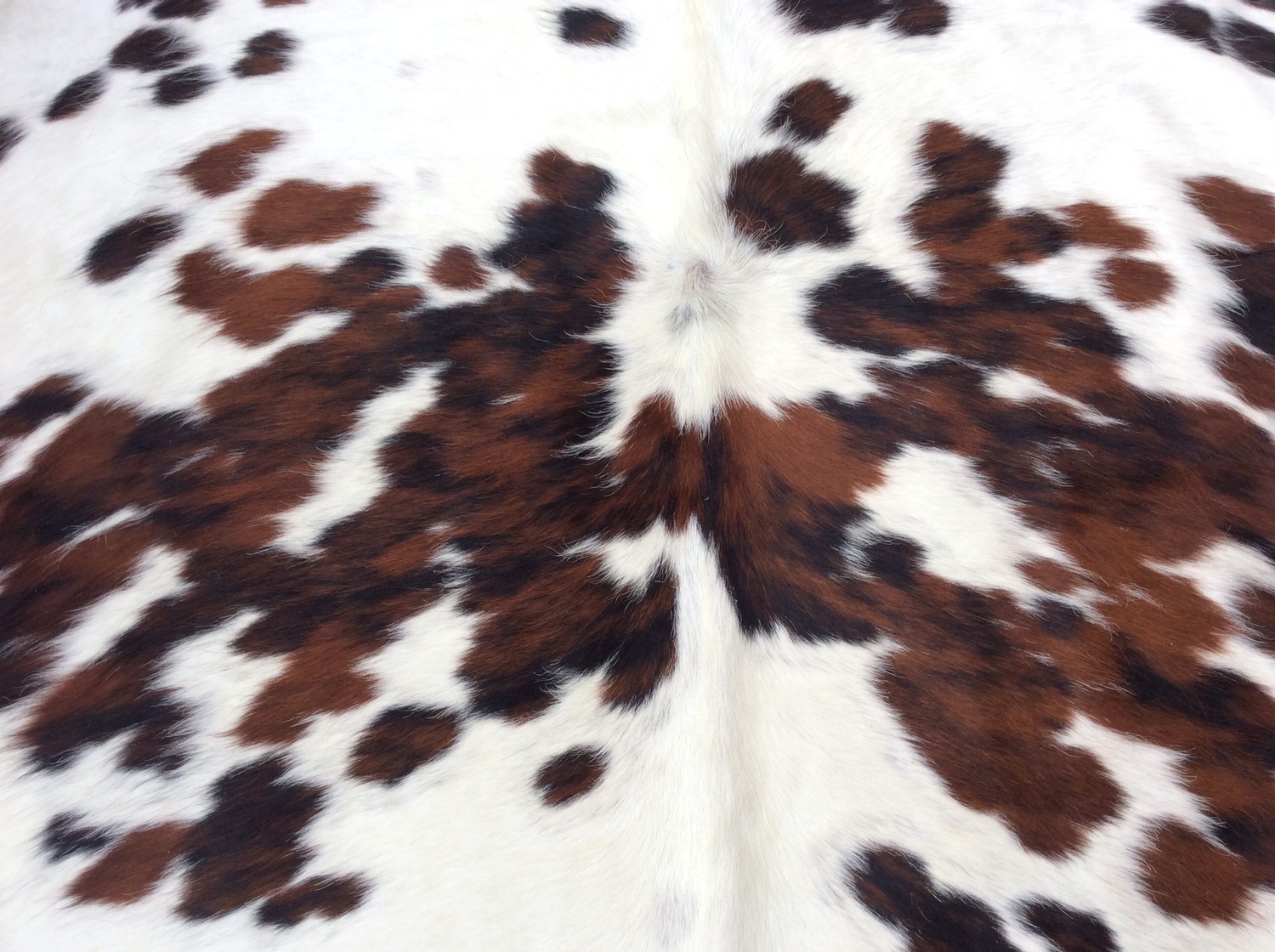 full cow hides for sale full cow hides for sale